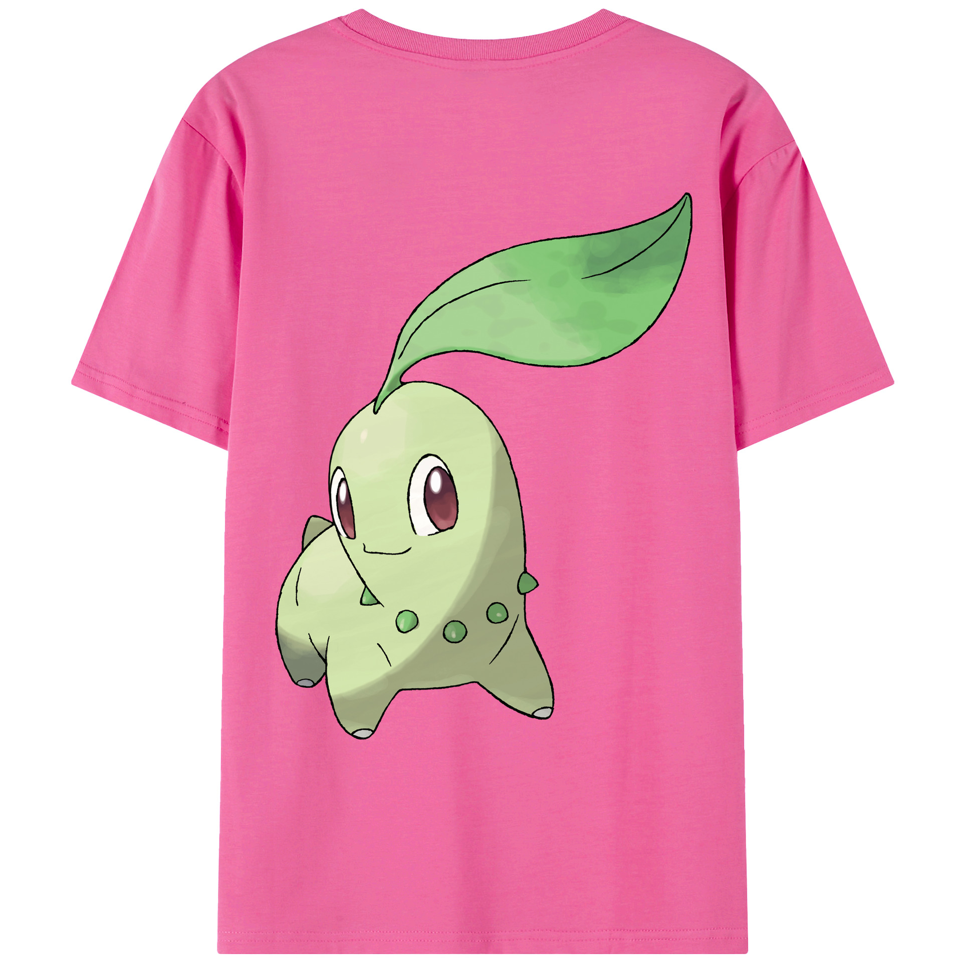 （画像用） ポケットモンスター Pokémon レディース半袖Tシャツ(バックプリント)